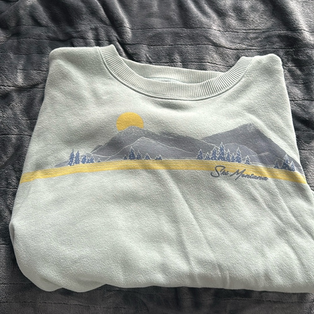 Cropped American Eagle Crewneck